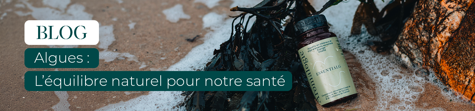Le Blog - Algues